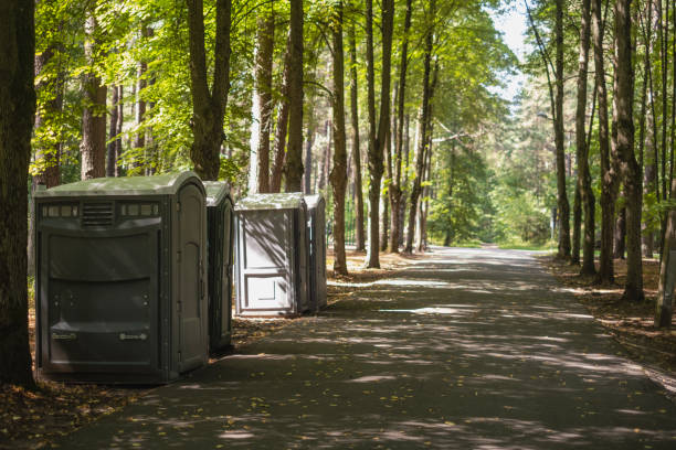 Portable Toilet Options We Offer in Mankato, MN
